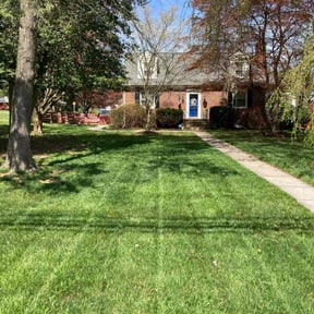 landscape maintenance by Life Source Lawn Care and Property Services reviewed on August 15, 2025