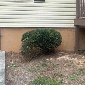 Bush Trimming by Great American Landscape reviewed on March 20, 2024