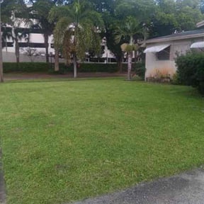 turf maintenance by MunScapez reviewed on January 2, 2024