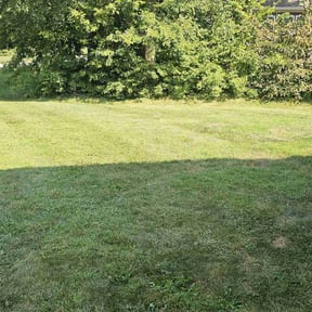 landscape maintenance by The Lawn Rangers reviewed on August 17, 2025