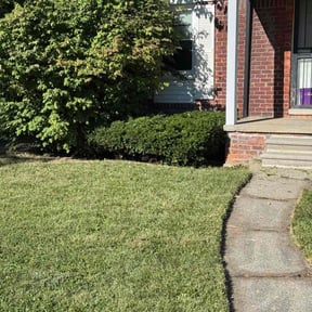 Bush Trimming by Mca mowing and lawn maintenance LLC reviewed on December 30, 2025