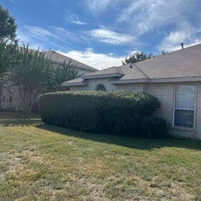 turf care by J&amp;J property management reviewed on August 23, 2024