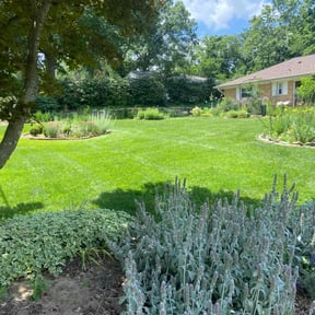 yard care by One yard at a time reviewed on August 16, 2025