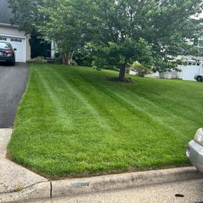lawn maintenance by TruGreen LawnCare reviewed on July 17, 2025