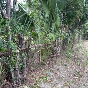 Bush Trimming by Killian Landscaping, LLC. reviewed on August 15, 2025