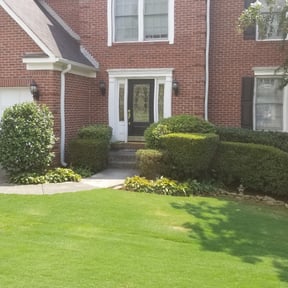 Bush Trimming by King-pierce lawn care reviewed on August 19, 2025
