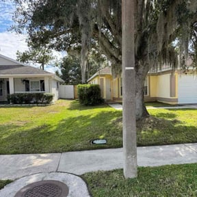 Bush Trimming by Chows lawn service reviewed on November 19, 2025