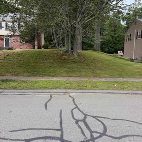 Flower Bed Weeding by Jordan's Lawn Service reviewed on July 6, 2026