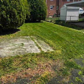 Leaf Removal by Four Seasons Cleanup reviewed on April 21, 2026