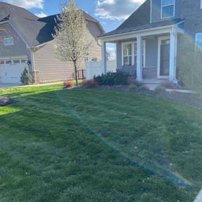 grass maintenance by At Your Door Chores reviewed on April 22, 2025