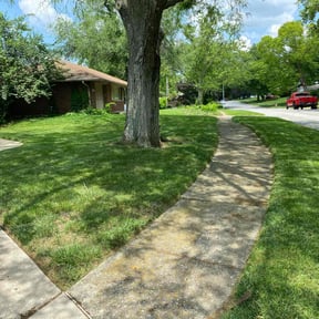 lawn care services by HM's Superior Landscape & Design reviewed on August 14, 2025