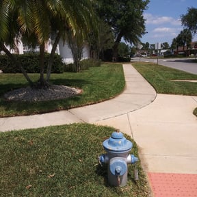 Bush Trimming by Best Price In Lawn Care reviewed on August 17, 2025