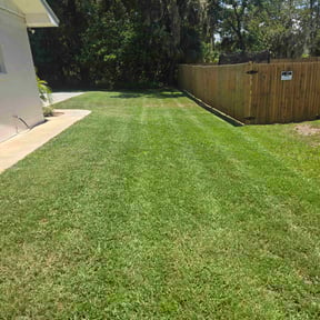 landscaping by Green City Landscaping Co LLC reviewed on August 19, 2025