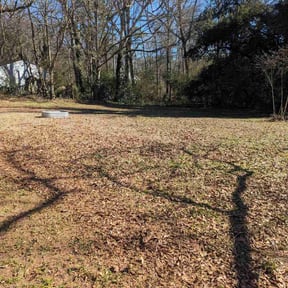 Leaf Removal by Dypak Services reviewed on September 27, 2025