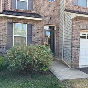 Bush Trimming by Aeration Station Lawncare/B&amp;C Landscaping  reviewed on November 21, 2025