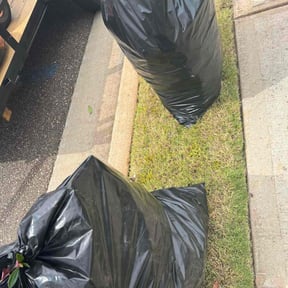 Bush Trimming by In Between The Lines LLC reviewed on October 21, 2025