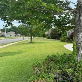 landscaping services by Ransom's Lawn Care reviewed on August 20, 2025