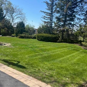 residential landscaping by Capital Green Landscaping & Lawn Care reviewed on August 21, 2025