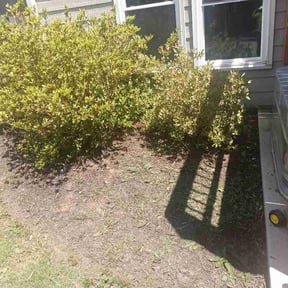 Flower Bed Weeding by Together Family Landscapes LLC reviewed on May 9, 2026