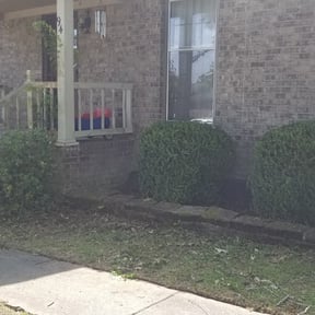 Bush Trimming by Mr. Trimm Lawncare LLC reviewed on August 21, 2025