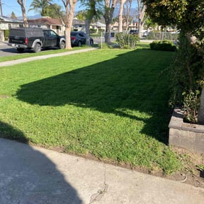 landscaping by The leaf village reviewed on August 17, 2025