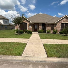 yard service by Salvador Lawn and Tree Service reviewed on November 20, 2025