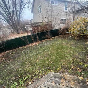 Leaf Removal by 100% Landcare reviewed on November 20, 2025