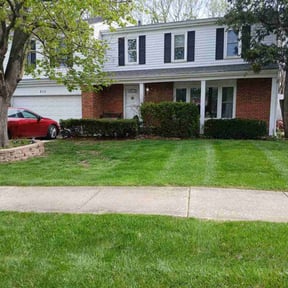 yard care by Greenscape Landscape reviewed on August 19, 2025