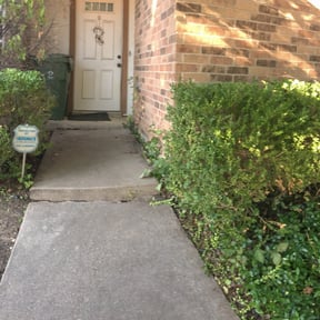 Bush Trimming by 3DM reviewed on August 16, 2025