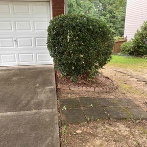 Bush Trimming by Ball Lawn Care LLC reviewed on August 18, 2025