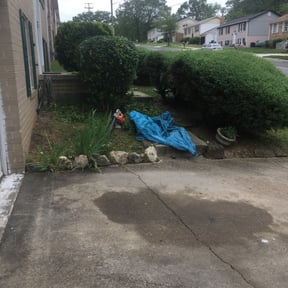 Bush Trimming by Florida LawnScapers LLC reviewed on August 17, 2025