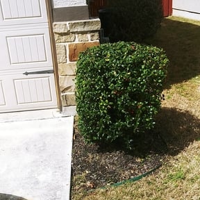 Bush Trimming by Precise Cut Lawn Care reviewed on August 20, 2025