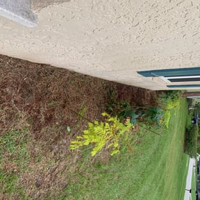 Bush Trimming by PhamousLawn reviewed on August 19, 2025