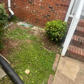 Bush Trimming by J's Elite Contracting Company LLC reviewed on August 27, 2026