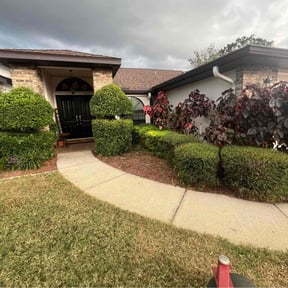 Bush Trimming by Q&R landscaping solutions reviewed on August 18, 2025