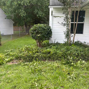 Bush Trimming by Greene Enterprise reviewed on June 25, 2026