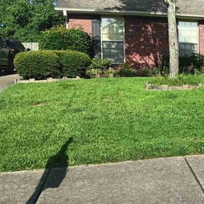 turf maintenance by Mow-Town reviewed on August 17, 2025