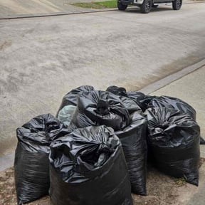 Leaf Removal by Pamelalawn reviewed on October 2, 2025