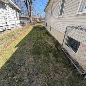 Leaf Removal by Born2Lead Cleaning Solutions reviewed on July 11, 2026