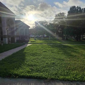 yard service by Sweet Solutions reviewed on August 18, 2025