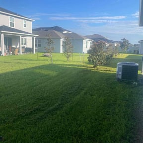 turf care by Jay Bradley reviewed on October 6, 2023