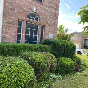 Bush Trimming by Lasting Impressions Lawn Care reviewed on August 20, 2025