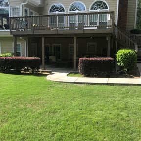 Bush Trimming by HalconLandscapingServices reviewed on August 21, 2025
