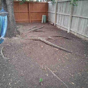 Leaf Removal by Redfearn Lawn Care reviewed on May 12, 2026