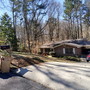 Bush Trimming by Fraire landscaping reviewed on August 21, 2025