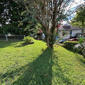 landscaping services by Lanes landscaping and tree trimming reviewed on August 21, 2025