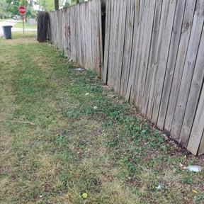 Flower Bed Weeding by Big Bear Lawn Care reviewed on August 16, 2025