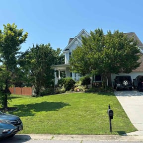 Bush Trimming by R &amp;M landscaping. reviewed on March 11, 2025