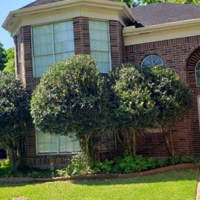 Bush Trimming by The Perfect Lawn reviewed on August 17, 2025