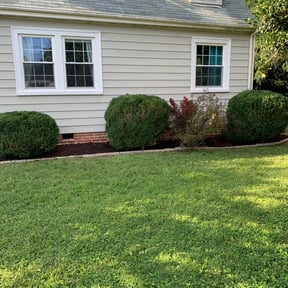 Bush Trimming by Superior lawn maintenance reviewed on August 21, 2025
